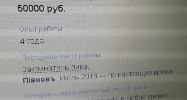 Смешные и нелепые резюме от людей, ищущих работу