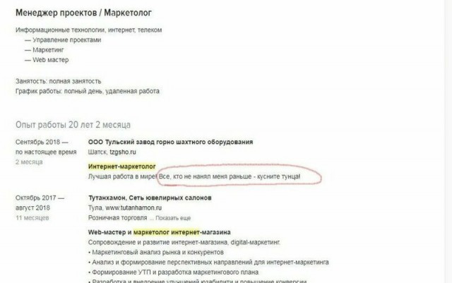 Смешные и нелепые резюме от людей, ищущих работу