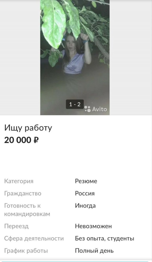 Смешные и нелепые резюме от людей, ищущих работу