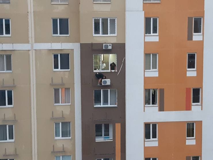 Прикольные картинки