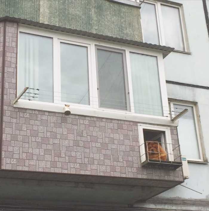 Прикольные картинки