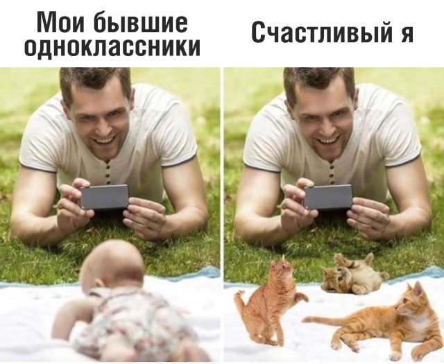 Прикольные картинки