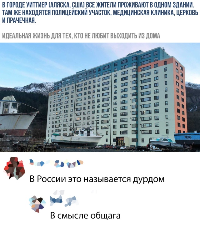 Прикольные картинки