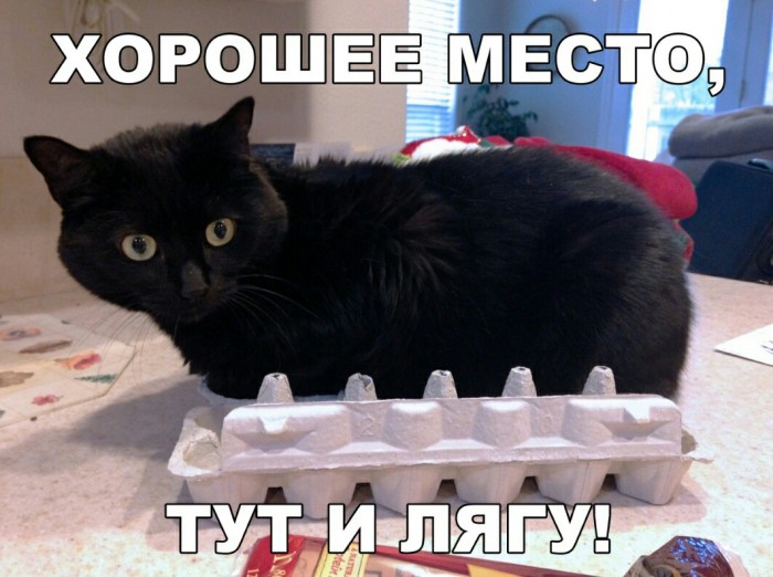 Прикольные картинки