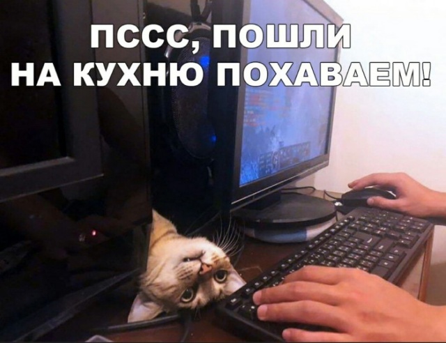 Прикольные картинки