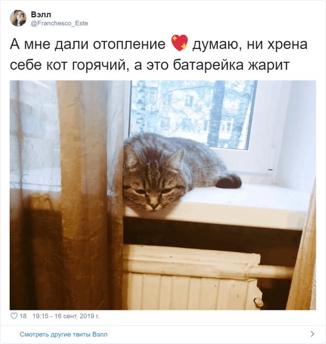 Забавные твиты от пользователей, которые никак не дождутся отопительного сезона