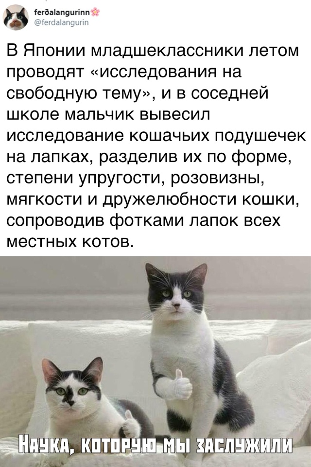 Прикольные картинки