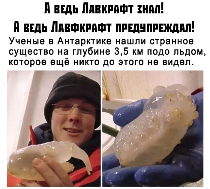 Прикольные картинки