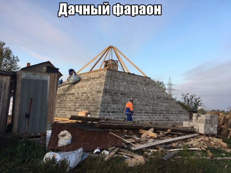 Прикольные картинки