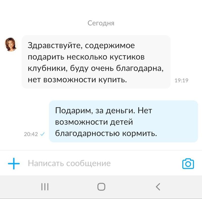 Прикольные картинки