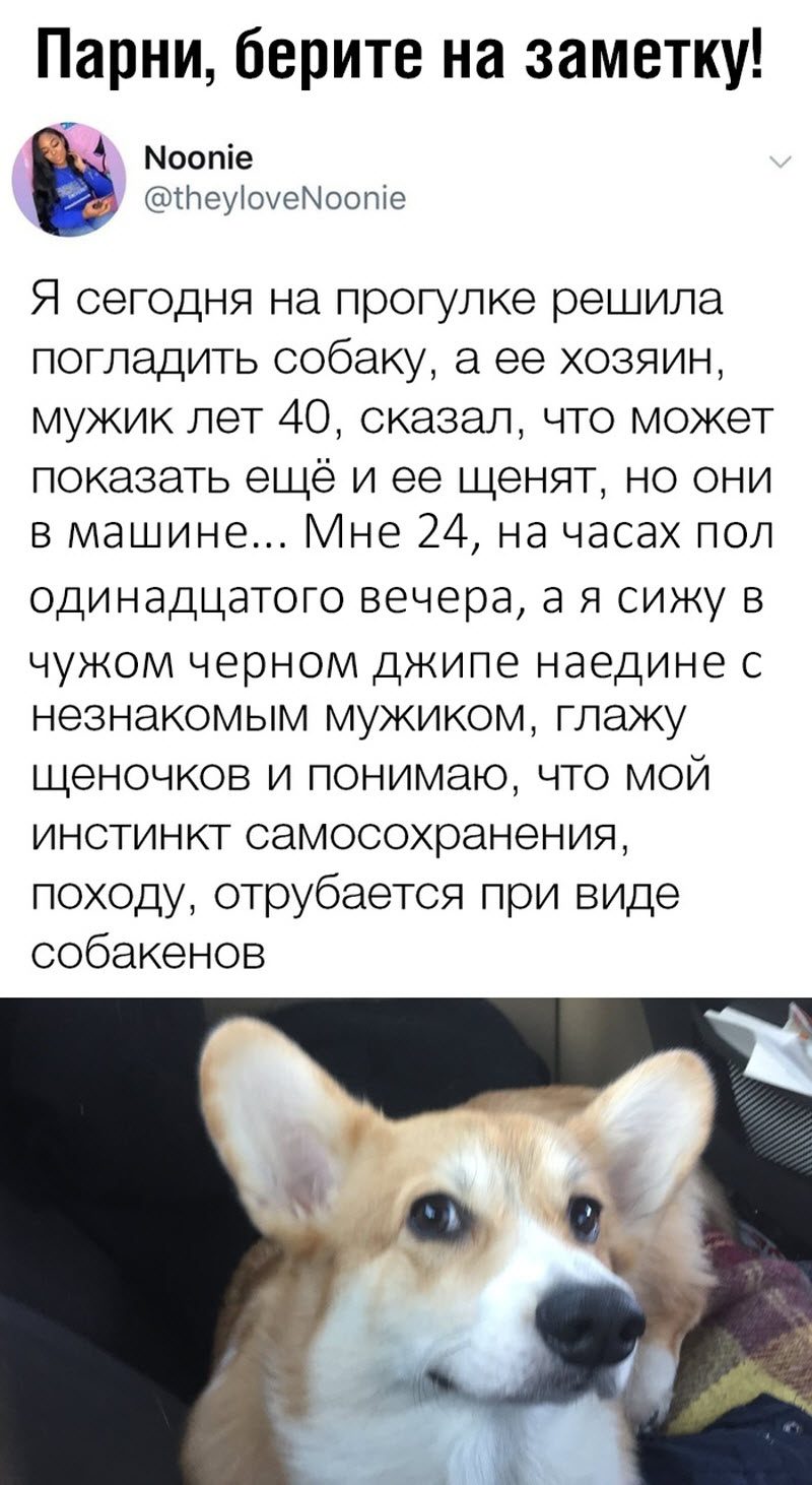 Прикольные картинки