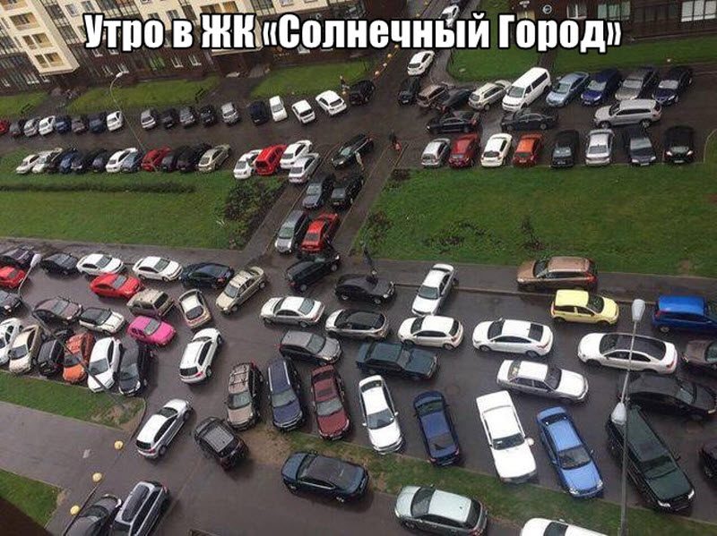 Прикольные картинки