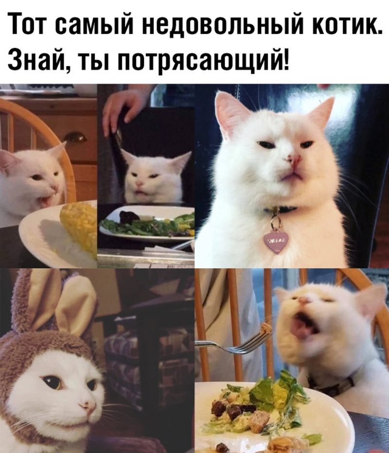 Прикольные картинки