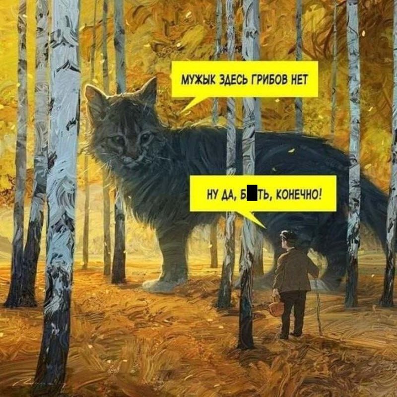 Прикольные картинки