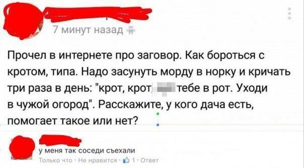 Подборка убойных ответов на странные вопросы