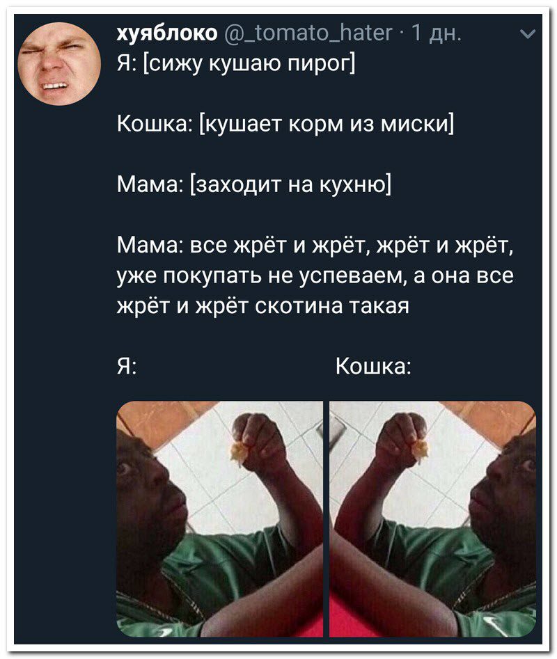 Забавные комментарии из социальных сетей