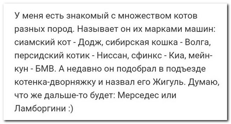 Забавные комментарии из социальных сетей