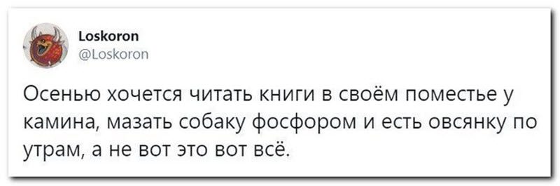 Забавные комментарии из социальных сетей