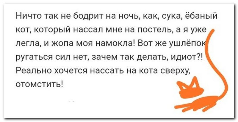 Забавные комментарии из социальных сетей