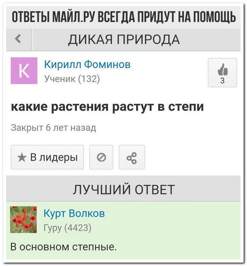 Забавные комментарии из социальных сетей