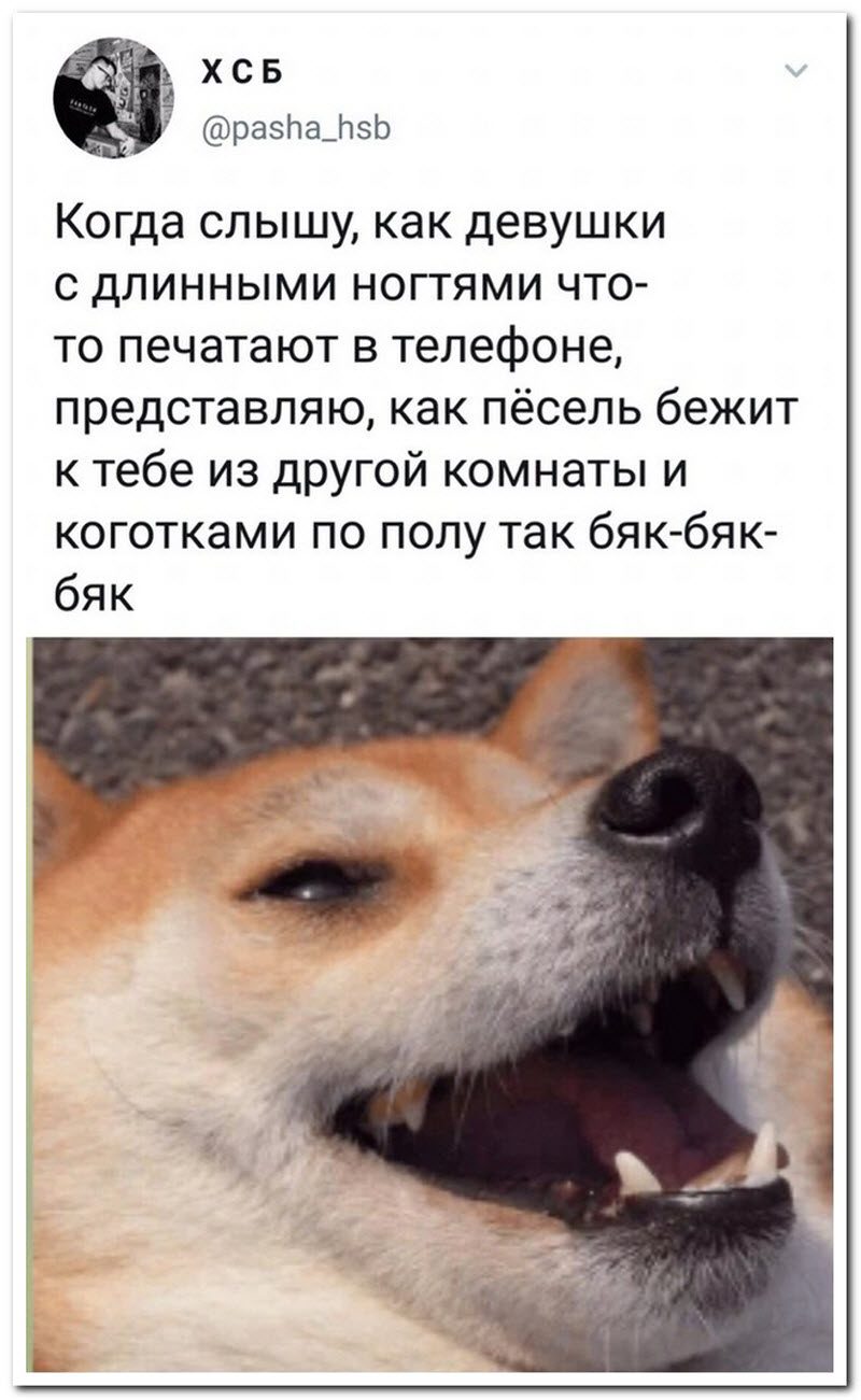 Забавные комментарии из социальных сетей