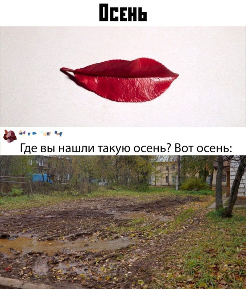 Прикольные картинки