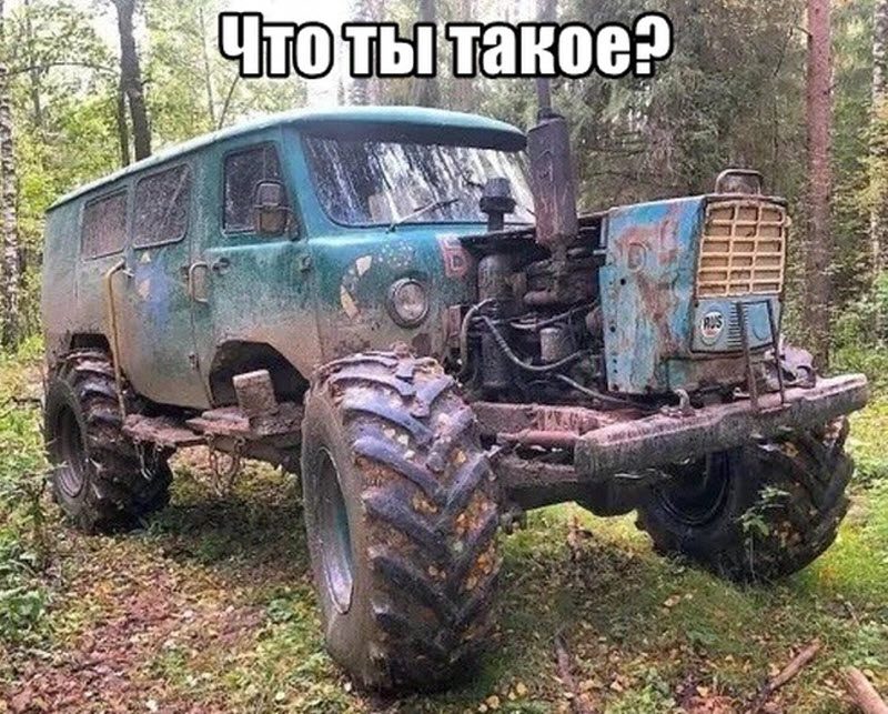 Прикольные картинки