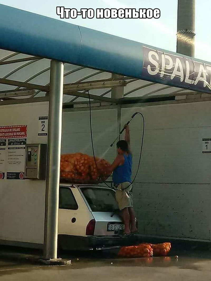 Прикольные картинки