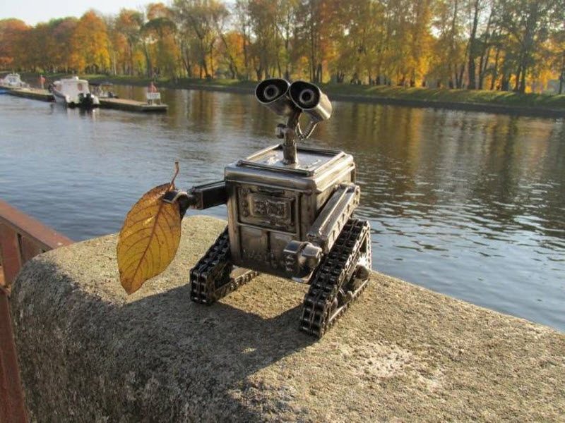 Прикольные картинки