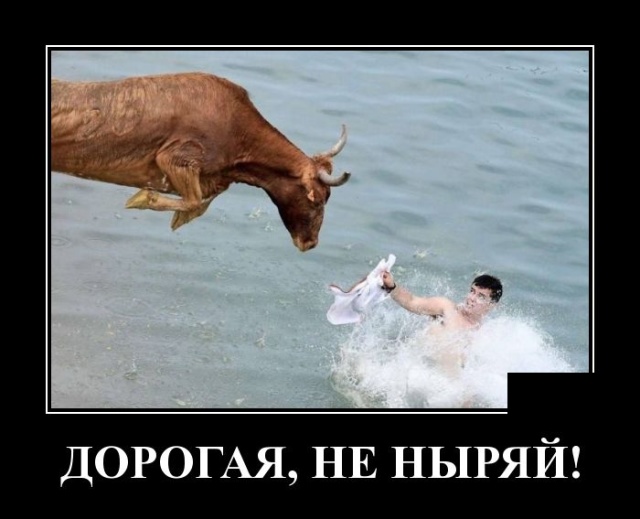 Демотиваторы