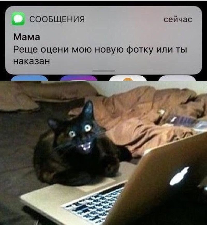 Прикольные картинки