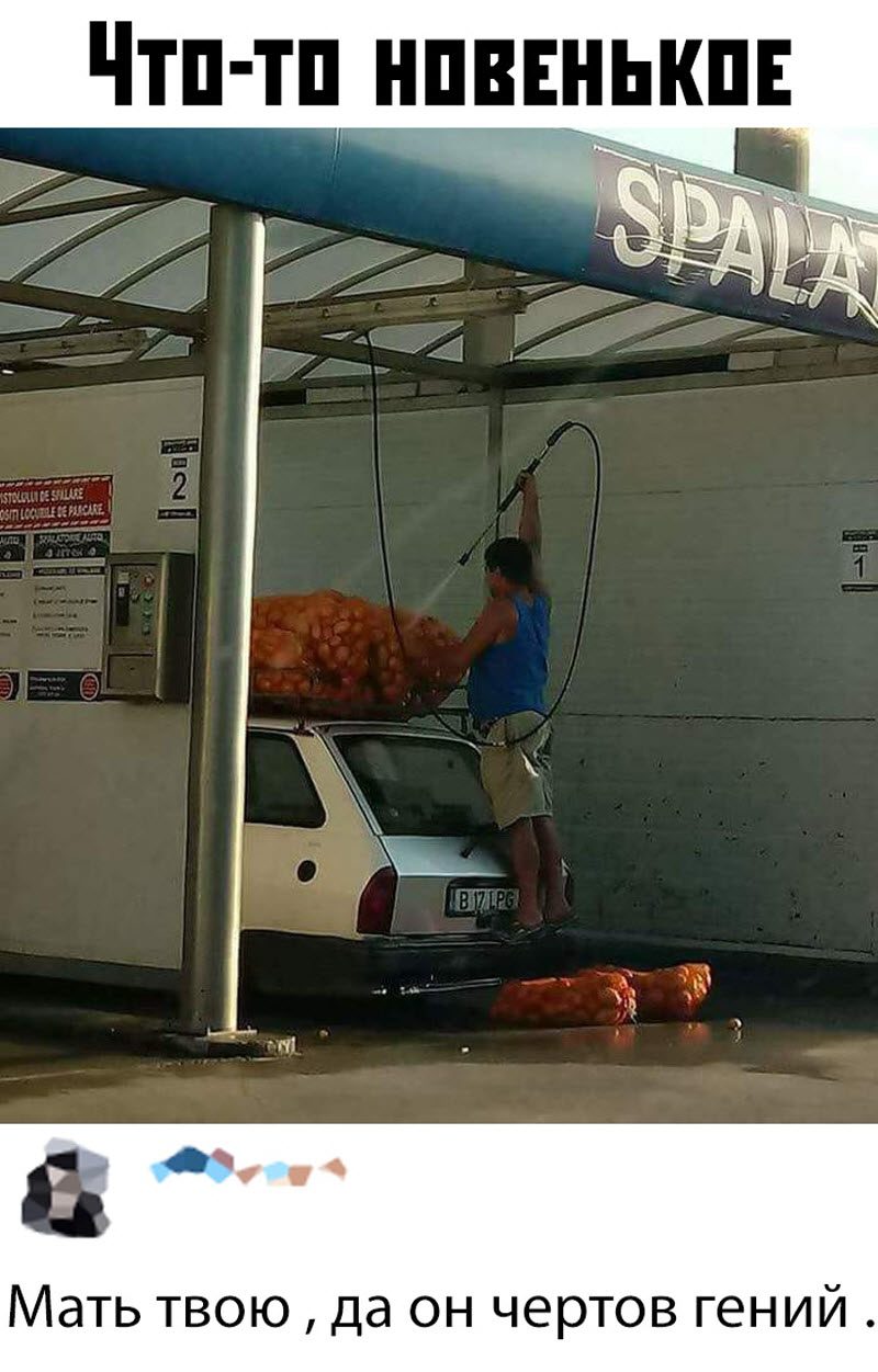Прикольные картинки