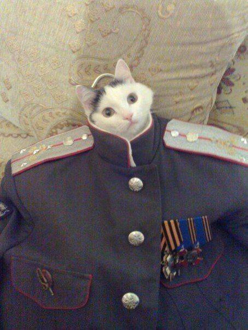 Прикольные картинки