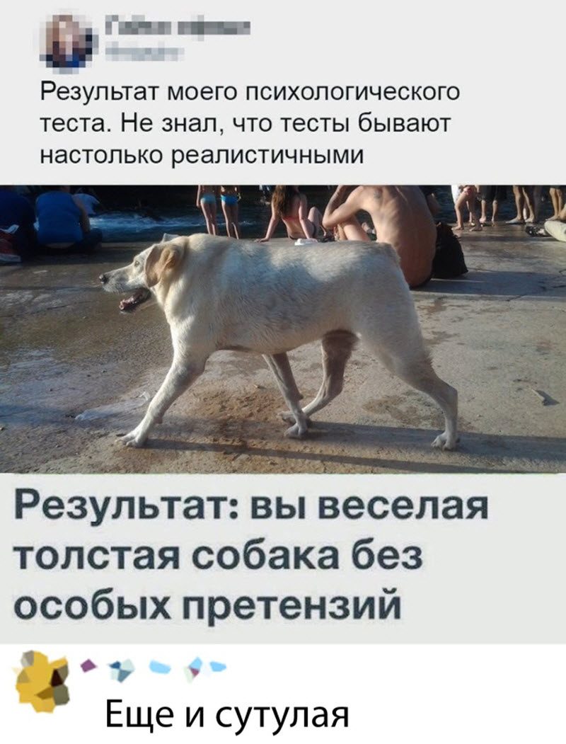 Прикольные картинки