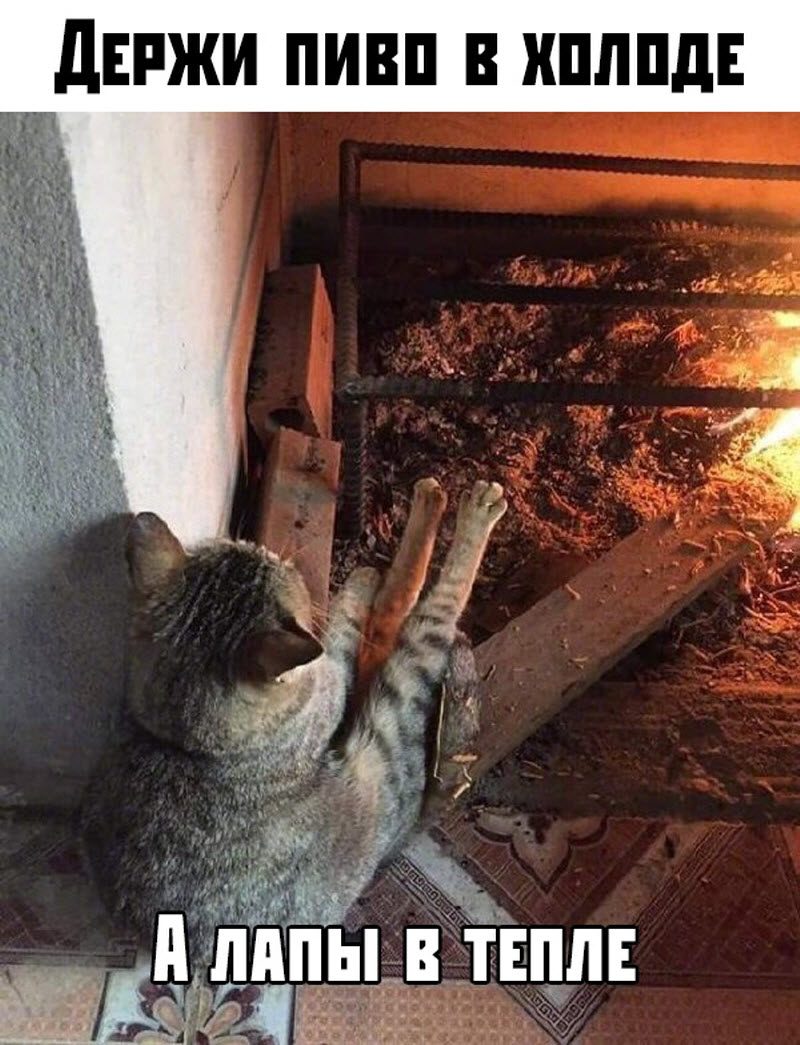 Прикольные картинки