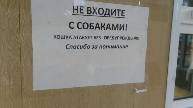 Прикольные картинки