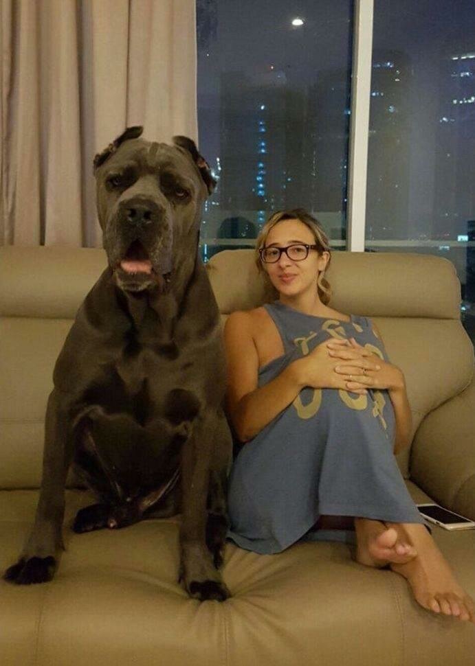 Все познается в сравнении