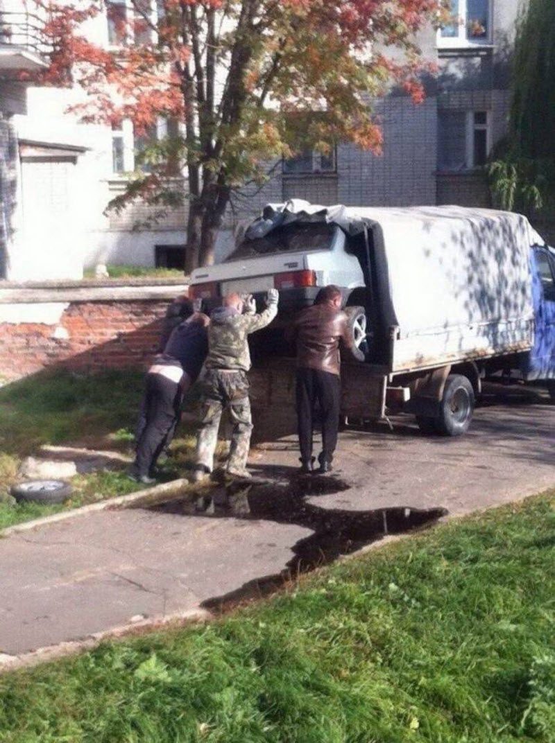 Прикольные картинки