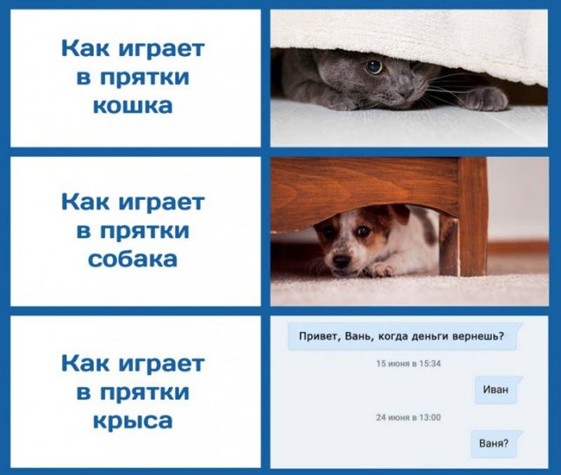 Прикольные картинки