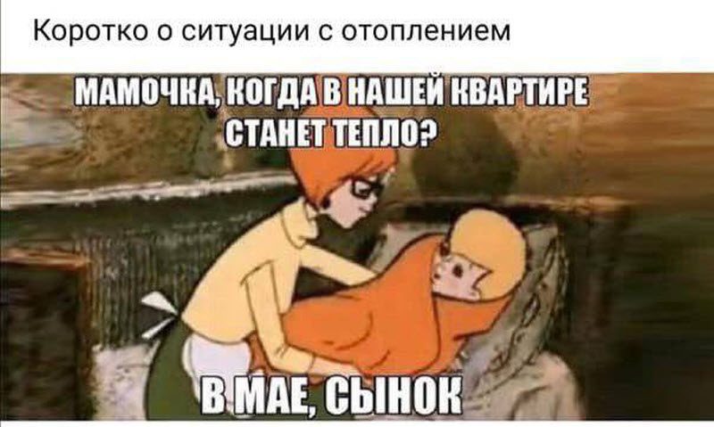 Прикольные картинки
