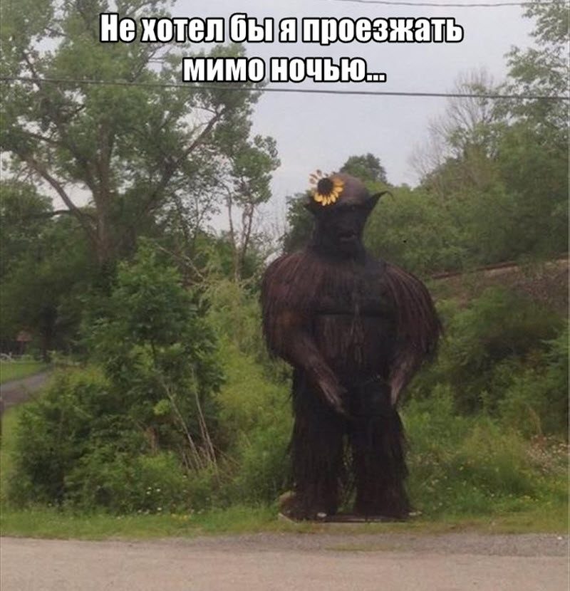 Прикольные картинки