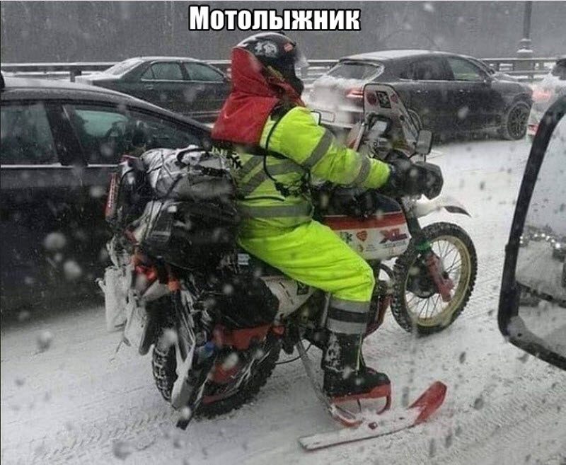 Прикольные картинки