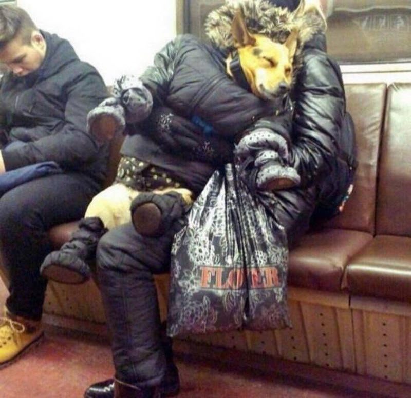 Прикольные картинки