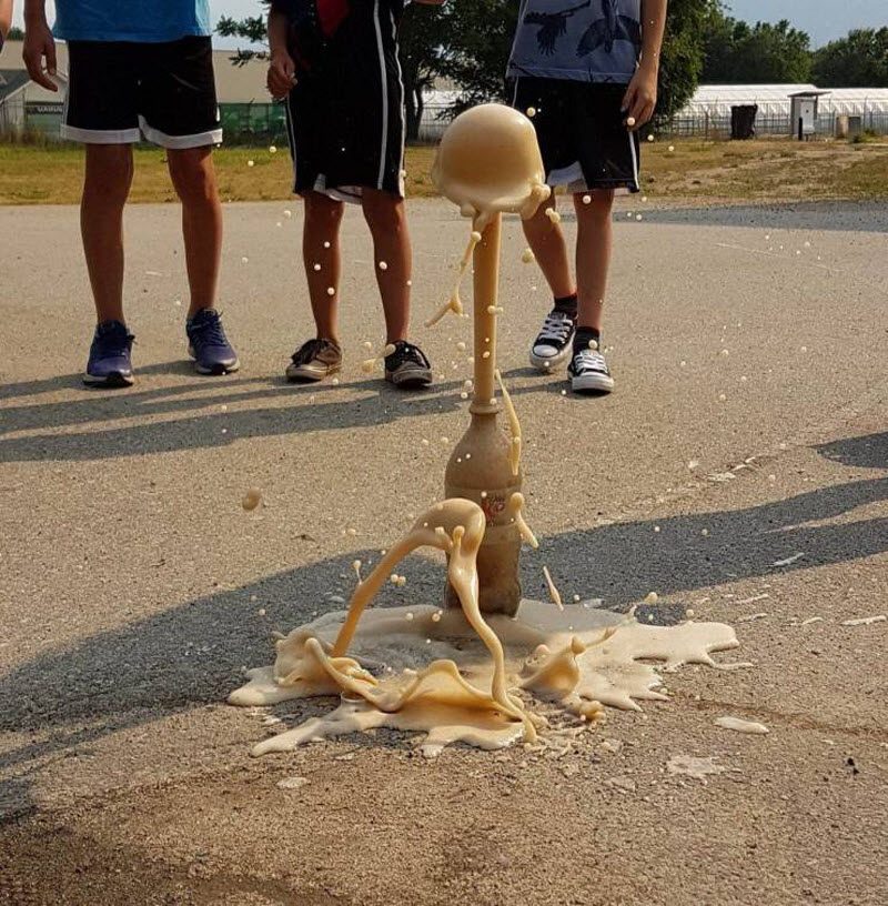 Прикольные картинки