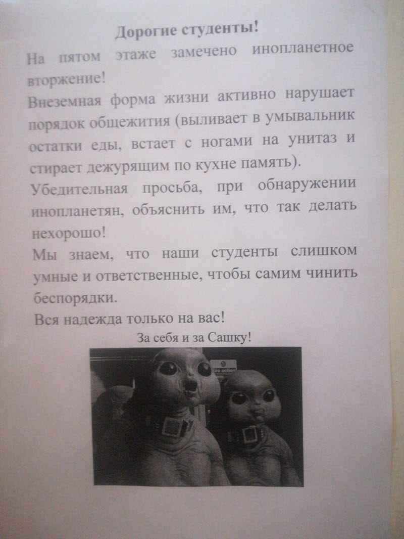 Прикольные картинки