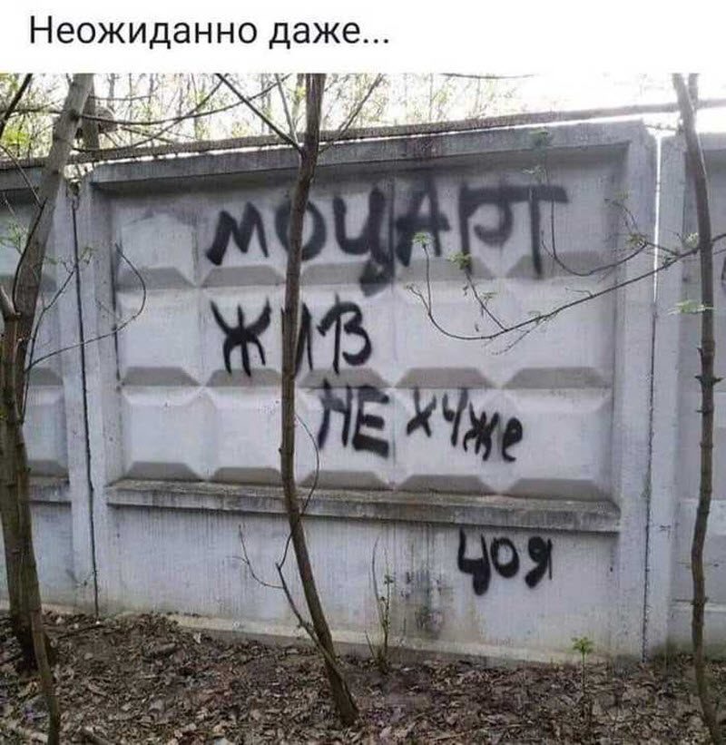 Прикольные картинки