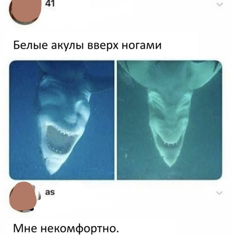 Прикольные картинки