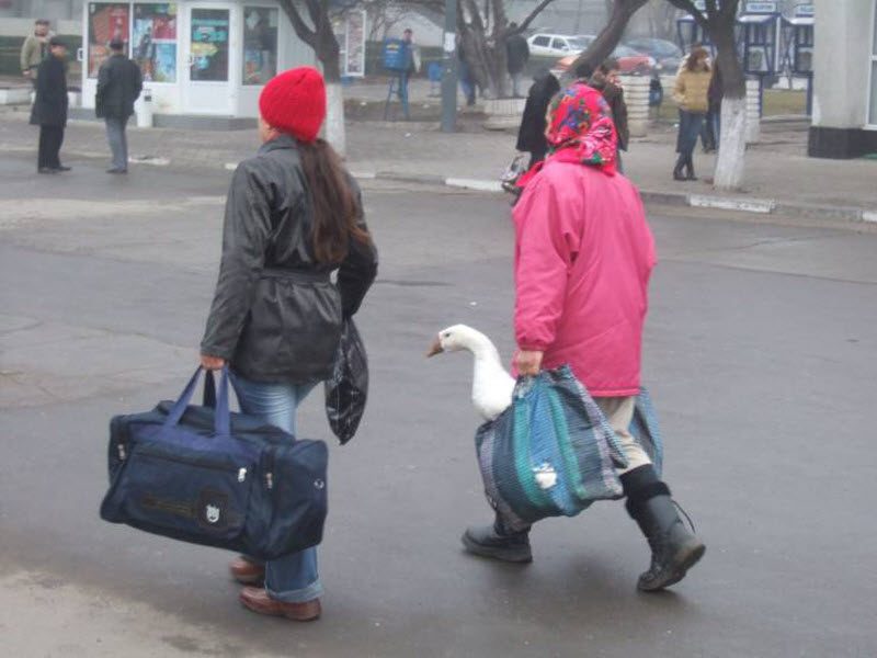 Прикольные картинки