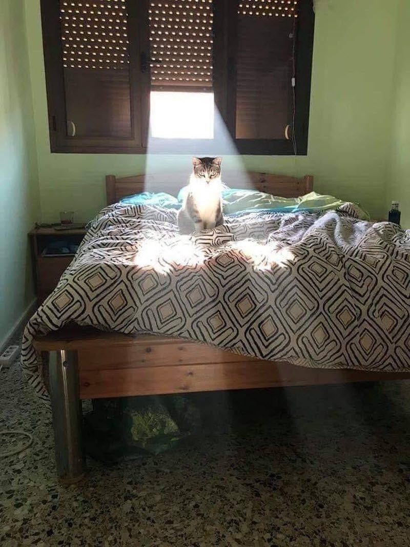 Прикольные картинки