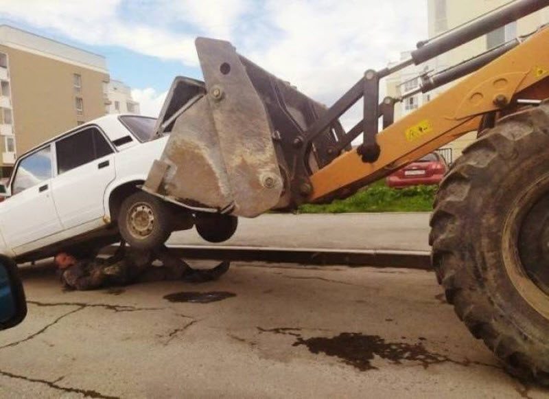Прикольные картинки